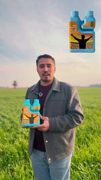 📢 متوفر مبيد دريم للقضاء على الخردل البري (الفجيلة البيضاء) وجميع الأد...