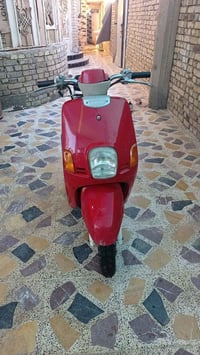 بوليس • نضيفه • اوراق كامله