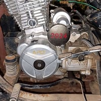 ستوتة جمرة فحل رقم سعرة 2ونص بيه مجال 07760691633