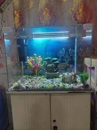 حوض سمك • ملحقات كاملة • قابل للتفاوض