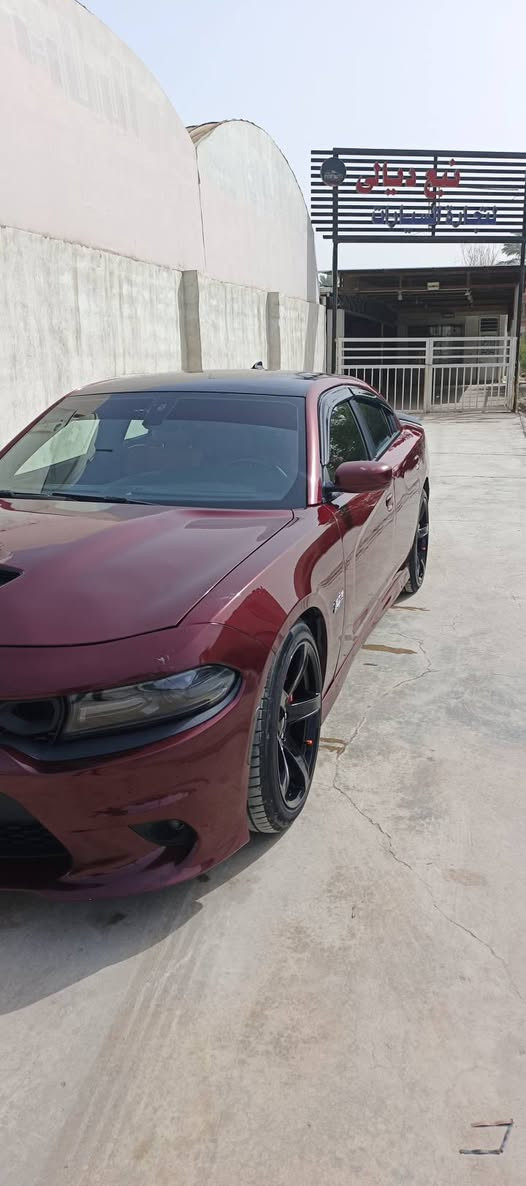 اسكات ٦٤٠٠ بع مستعجل 
٢٠١٩ اصل 

رقم بغداد بسمي 

جامرلغ وباب السايق صبغ

قماره وكع عليه تيزاب اماكن محدده ويرادله صبغ

ادامه عله كامله من صدر وتايرات 

ومكينه ونانو سيراميك ضمان سنه 

ويل كب نجمه جديد 

العنوان ديالى بعقوبه مراوس هم يرهم 

السعر ١٥٥ وبيه مجال

***********
