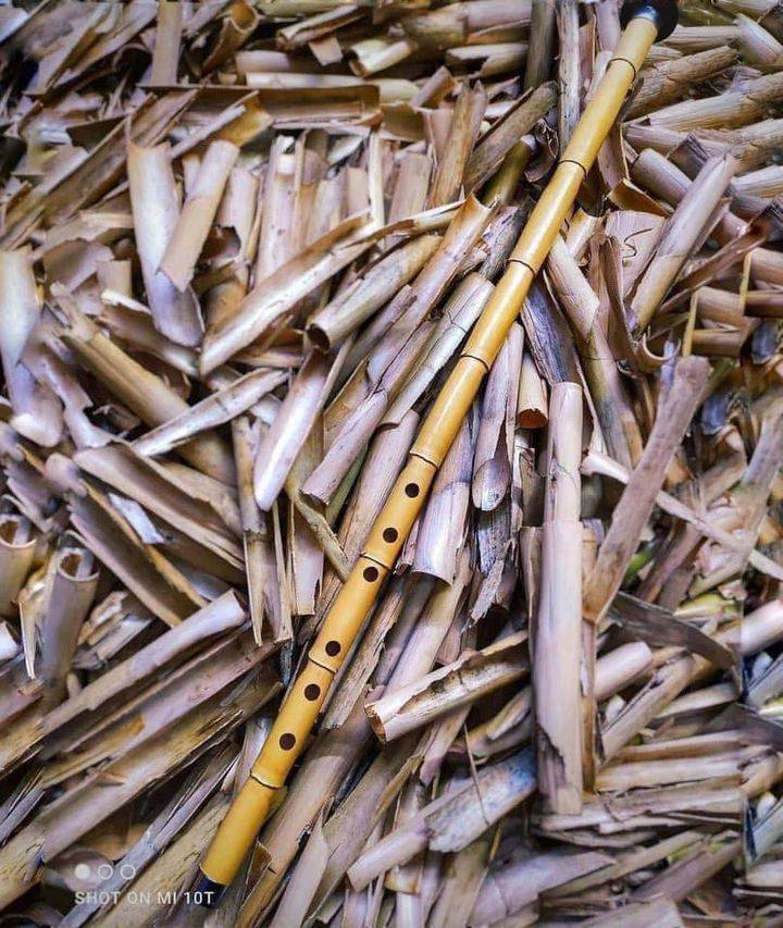 عروض وخصومات ✨
اعواد 

كمان 

كيتار 

بزق أو ساز 

ناي


**إذا كنت صاحب هذا الإعلان وتريد حذفه لأي سبب، رجاءا أرسل رسالة إلى الدعم الفني**