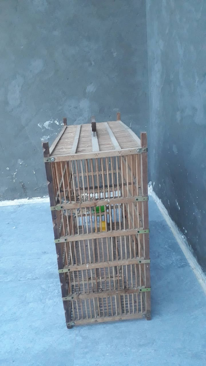 السعر 40

واتساب***********📲

ميسان
