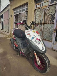 ماكس • بلادي • شاصي مصبوغ