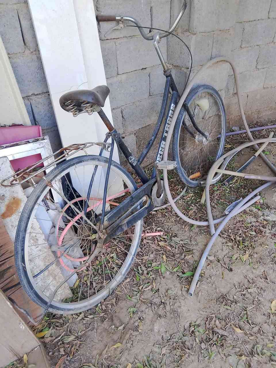 بايسكلات 26 ثنين ....سعرهن ثنين 75 ..مكان الشطره حي المعلمين ..


**إذا كنت صاحب هذا الإعلان وتريد حذفه لأي سبب، رجاءا أرسل رسالة إلى الدعم الفني**