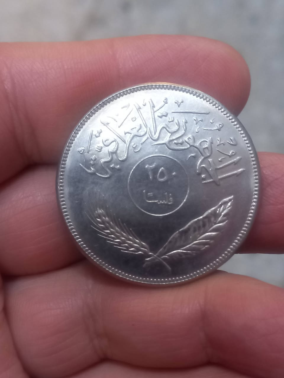 ٢٥٠ فلس الفاو نظافه عاليه جدا بيع مباشر ٥الف


**إذا كنت صاحب هذا الإعلان وتريد حذفه لأي سبب، رجاءا أرسل رسالة إلى الدعم الفني**