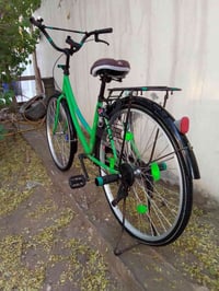 باسكل ياباني • اصليات • نجف علوة الفحل