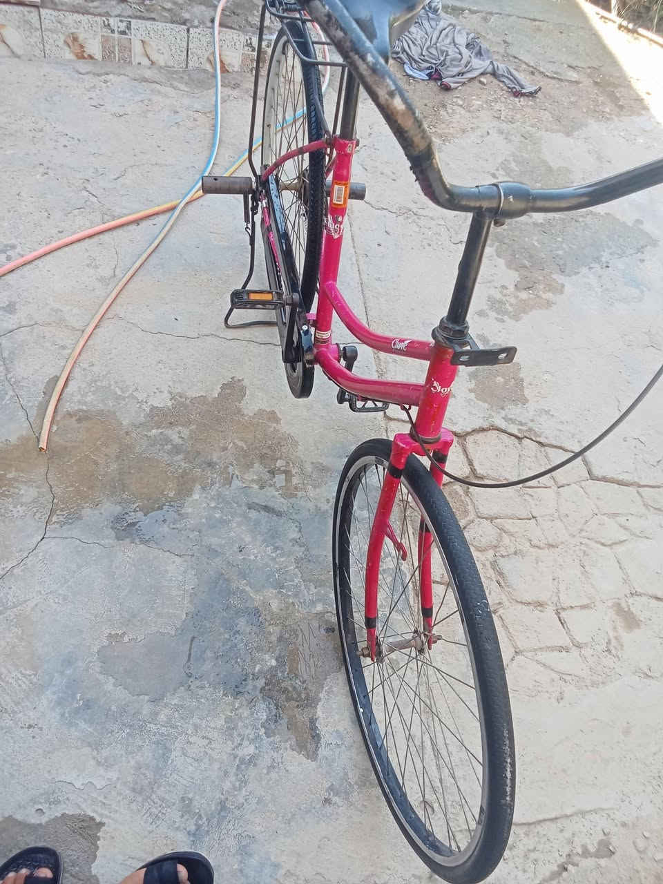 بايسكل 26 كامل مكمل شرط طيران مال تعليك سعر 110وبي مجال كلش الشراي


**إذا كنت صاحب هذا الإعلان وتريد حذفه لأي سبب، رجاءا أرسل رسالة إلى الدعم الفني**