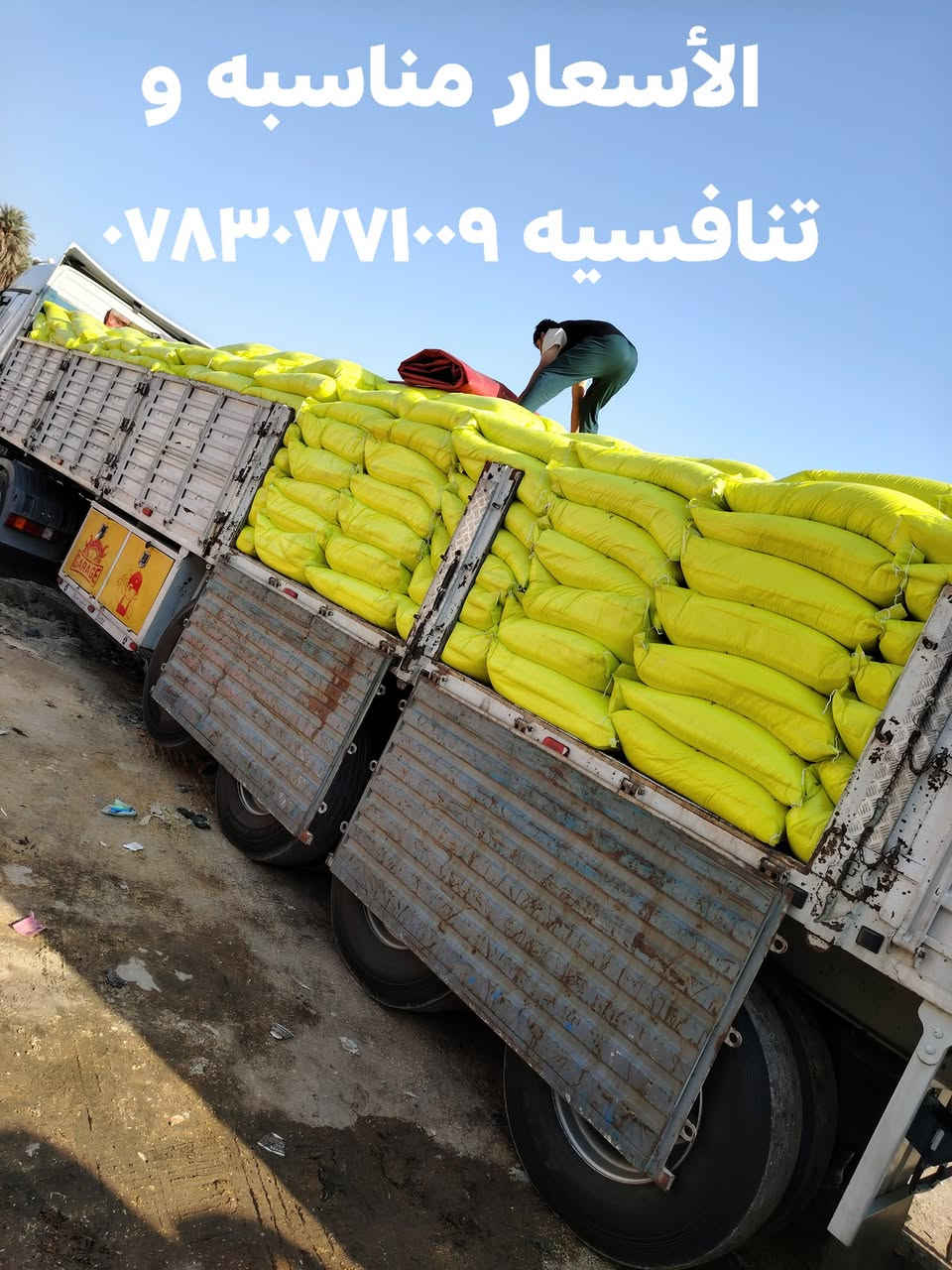 السلام عليكم ورحمة الله وبركاته
إلى أصحاب المحلات التجارية

والمزارعون
تخفيضات# ##تخفيضات
تم بحمد الله استلام كميات
كبيره من اليوريا العراقي المحبب التجاري
الفعال وهو من أفضل أنواع اليوريا حسب
تجربة كثيراً من الفلاحين الموثوقين

الأسعار مناسبه تنافسيه
جمله ## ######مفرد

التوصيل مجاني جميع المحافظات
العنوان
بابل الكفل مقابل كراج بني مسلم
***********
*********** كرارالعيساوي
***********
ملاحظه وردنا من بعض الأشخاص من يتداول
اسم علي العيساوي او ادعاء القربه له فهم أشخاص ذو
خبره في مجال الغش باحترافيه واسعارهم غير جمله
