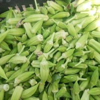 بامية • موصل