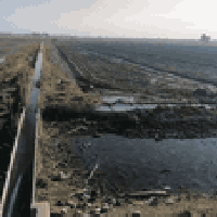 الشيخ عامر تاجي سبع البور • ٨ دونم • طابو زراعي