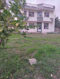 يوجد دونمين ونص طابو ملك صرف المكان المدائن جسرديالى التويثة  الاستفسا...