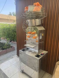 شغالة • بضمان • زيونة الربيعي