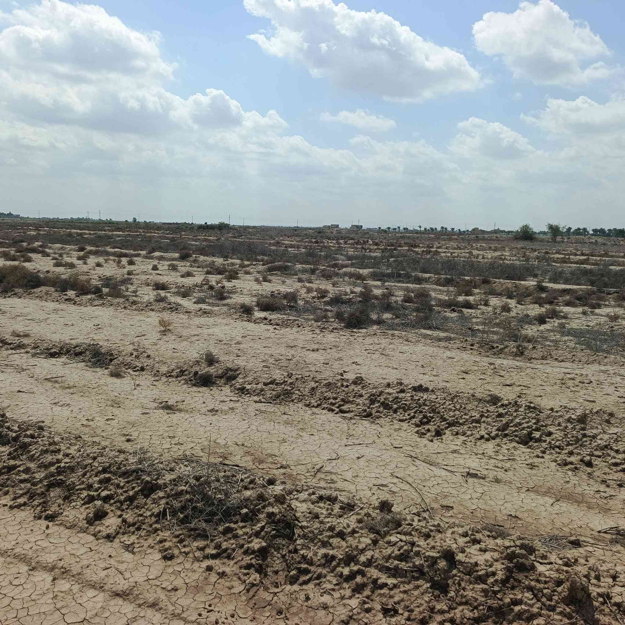 6دوانم للبيع ع طريق الديوانيه دغاره سند 25الواجه 88والنزال 174متر ماء كهرباء تبعد عن شارع العام 300متر استفسار‏‪***********‬‏
