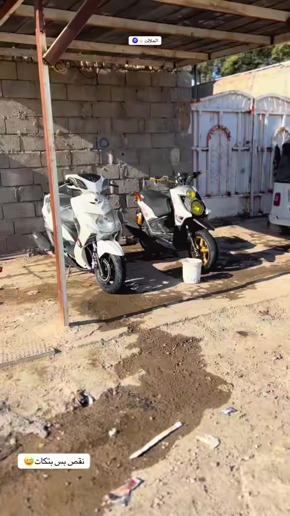 سلام عليكم درجات للبيع كفاله ثنين جبلي رمبه صار له 4اسبيع من نزلت وثنينه لد حديث مكفوله من كلشي جبلي سعره 1 وربع /ولد واحد مكان بغداد شعله رقم *********** شراي يجي وتساب
