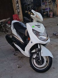 موتور • فحل • بغداد الشعب