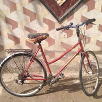 بايسكل • اربي