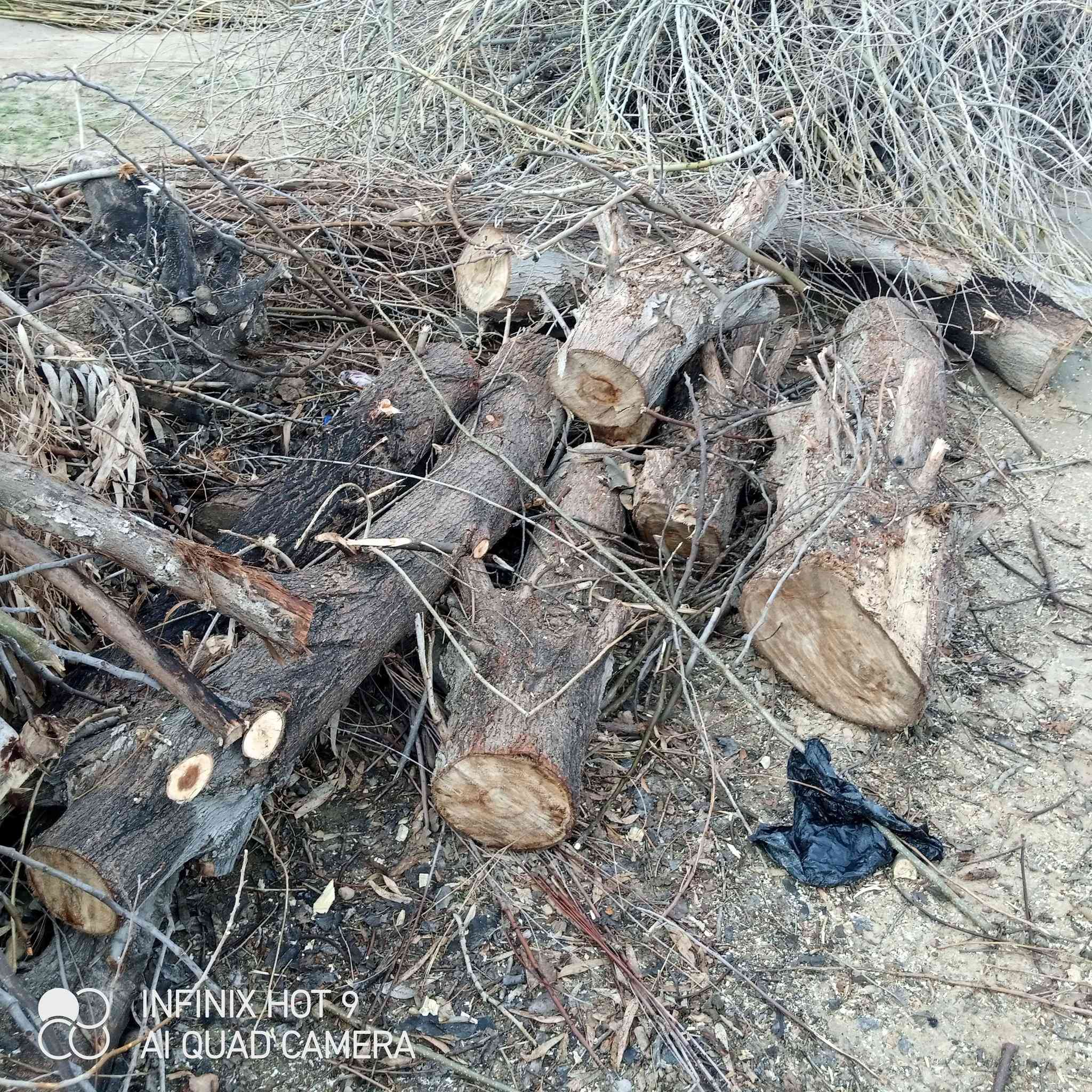 السلام عليكم يوجد حطب يابس للبيع للاستفسارالاتصال على الرقم***********
