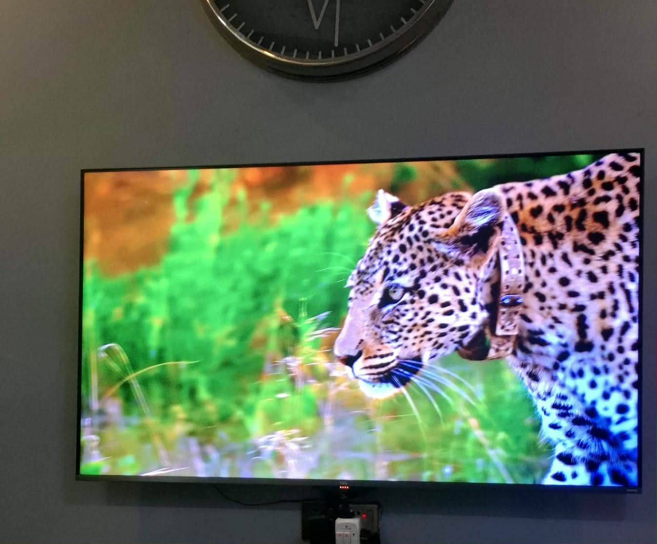 شاشة تي سي ال حجم 55 سعرة ٥٠٠


**إذا كنت صاحب هذا الإعلان وتريد حذفه لأي سبب، رجاءا أرسل رسالة إلى الدعم الفني**