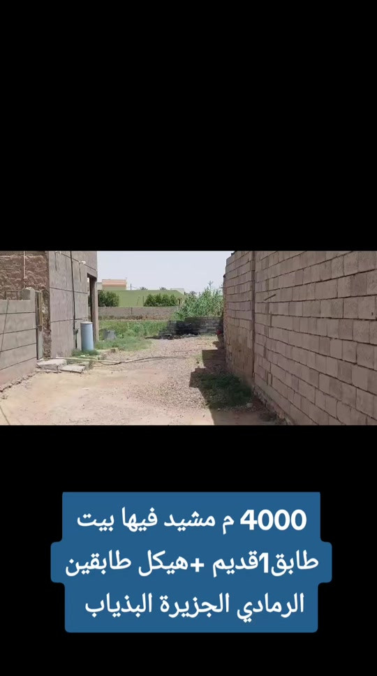 بسم الله وعلى بركة الله  ارض مشيد عليها بيت طابق 1 بناء قديم + هيكل طابقين  الرمادي   الجزيرة البوذياب مقابل مركز شرطة الجزيرة المساحة  4000 متر  جنس العقار طابو زراعي سند 25 وجه 37 متر نزال 90 متر  لطلب سعر المتر  أترك تعليق   ✒️   للمعاينة والاتفاق  ***********  تواصلو معنا واتساب  للاستفسار...  ***********  أعلن معنا لضمان وصول إعلانك لأشخاص مهتمين بشراء عقاراتكم  👍  مع تحيات  عقارات T . A . G . . . #عقارات #تسويق_عقاري   #استثمار_عقاري #عقارات_الرمادي   #مشتملات  
