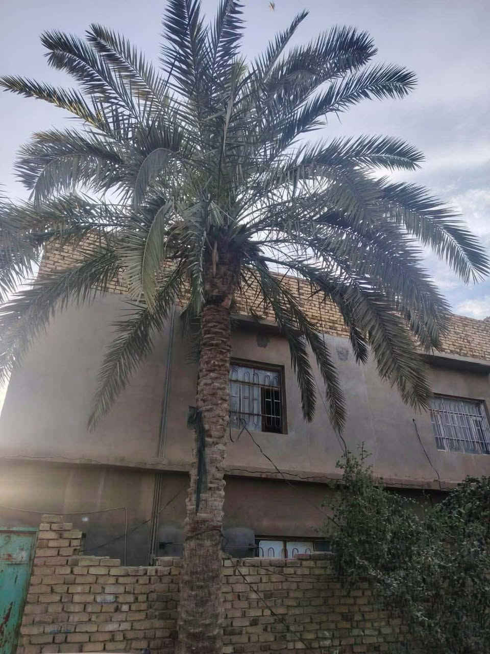 📍 الموقع: دار سكن في قضاء السنية-قرب محكمة السنية الجديدة

📐 المساحة: 420 متر

✨ التفاصيل:

🔹طابو صرف

🔹 موقع تجاري ومميز

🔹طابقين الطابق الاول 5 غرف +صالة+استقبال +مطبخ
 
🔹الطابق الثاني غرفتين فقط

🔹يقع على شارعين اما البيت وخلف البيت

البناء سنة 1980 وترميم حديث

💰 السعر: 325 مليون وبي مجال

📞 للاستفسار: خاص او واتساب ***********
