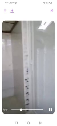 القوسيات • ١٦٠م • سند زراعي