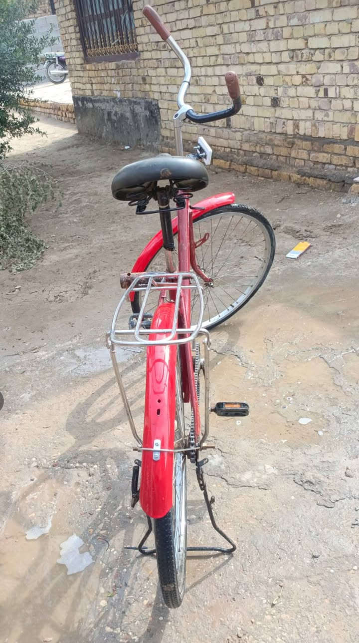 شباب باسكل للبيع في الديوانيه  الخمسه دونم السعر 45الف وابي مجال تجاري الحجم 26  ورقم الهاتف***********
