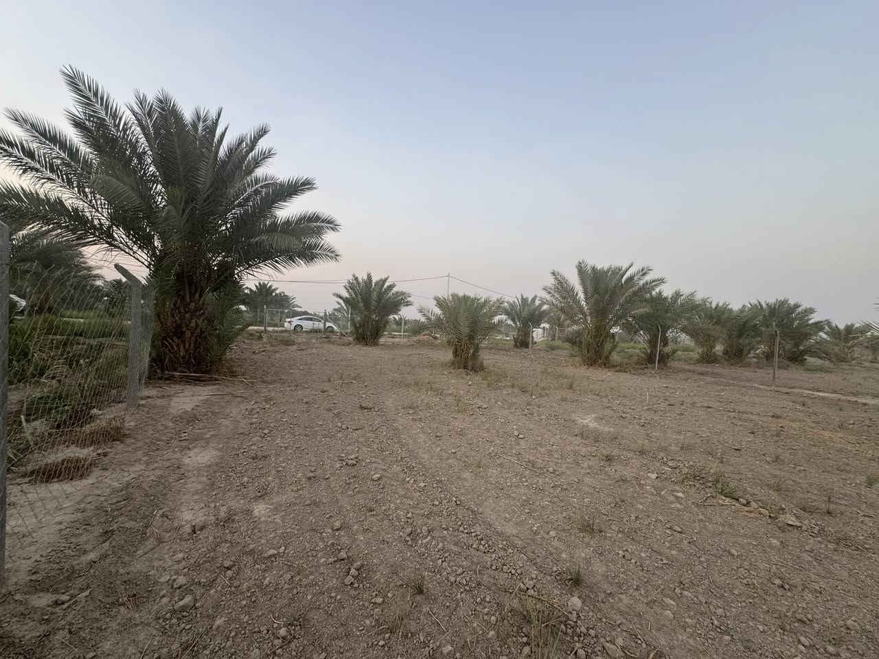 السلام عليكم دونم للبيع
طريق الدغاره نزله شارع النبي شعيب  سند ٢٥ تبعد عن التبليط كيلو  وعن شارع النبي شعيب ١٠٠ متر توجد كافه الخدمات 
مسيجه كامل بي ار سي توجد نخل انواع ماء اساله ماء سقي مجاور لها مزارع  توجد كهرباء للاستفسار ***********
