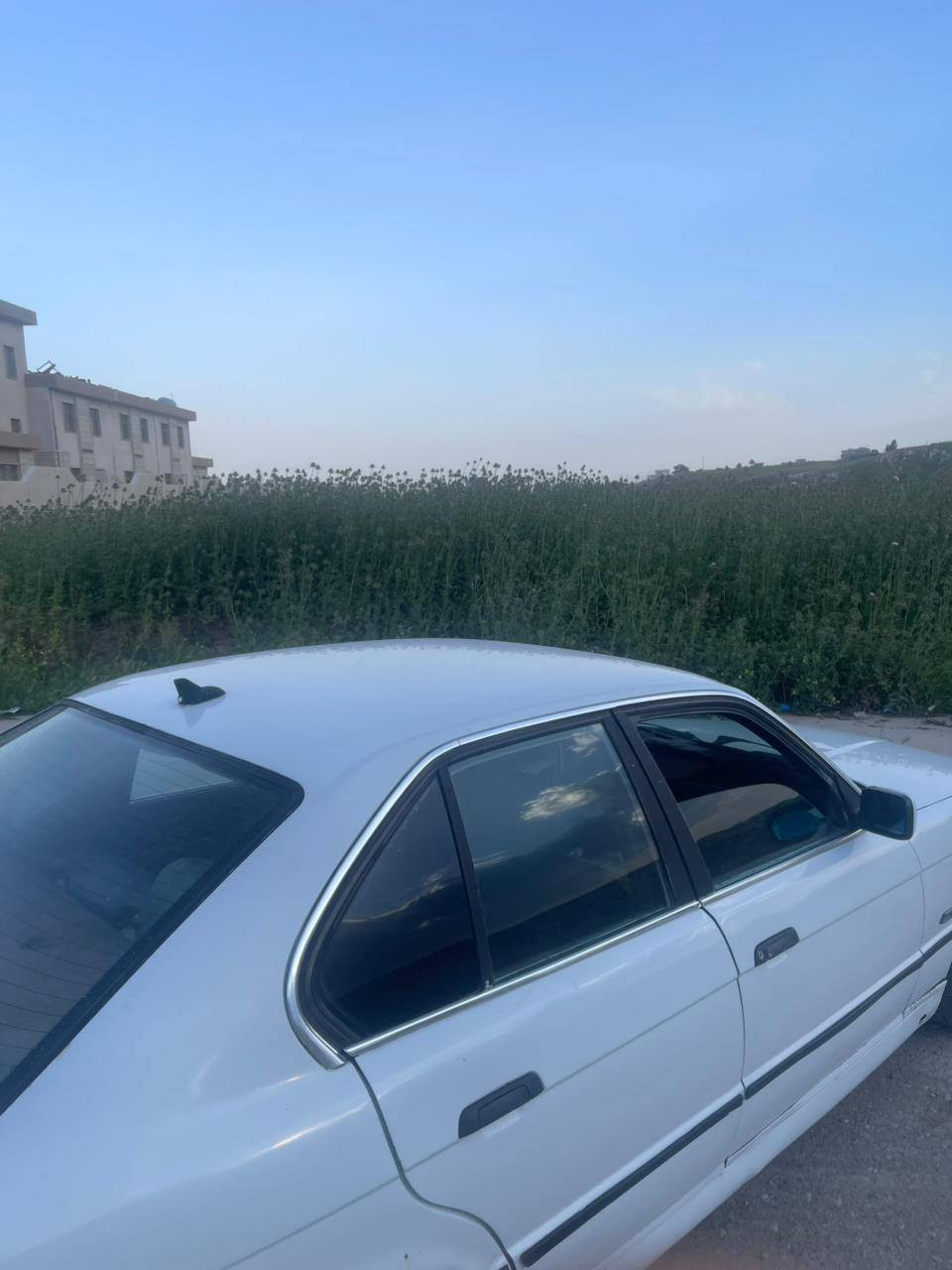 سلام عليكوم منرخصت ال ادمين المحترم BMWموديل 1989. حجم 520 بيهه جاملغ الورا صبغ وشويه معجون امه مكينه كير شرط طخم 80بل /100  تحيول شرط كوبون يحتاج تفعيل ولسعر 38وبيهه مجال شي قليل لتواصل هاذه رقمي *********** سميل, دهوك
