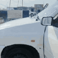 بيضة منغولي • ٢٠١٠ • رقم كربلاء