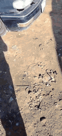 سلام عليكم تفصيخ النتره دمعه نضيفة محررك كير شنو تحتاج تصل *********** مكان بابل مشروع مسيب
