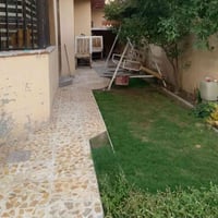 الفلوجة • ٢٥٠م • ركن