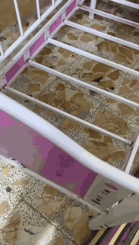 جرباية حديد اثنينهن ب40


**إذا كنت صاحب هذا الإعلان وتريد حذفه لأي سبب، رجاءا أرسل رسالة إلى الدعم الفني**