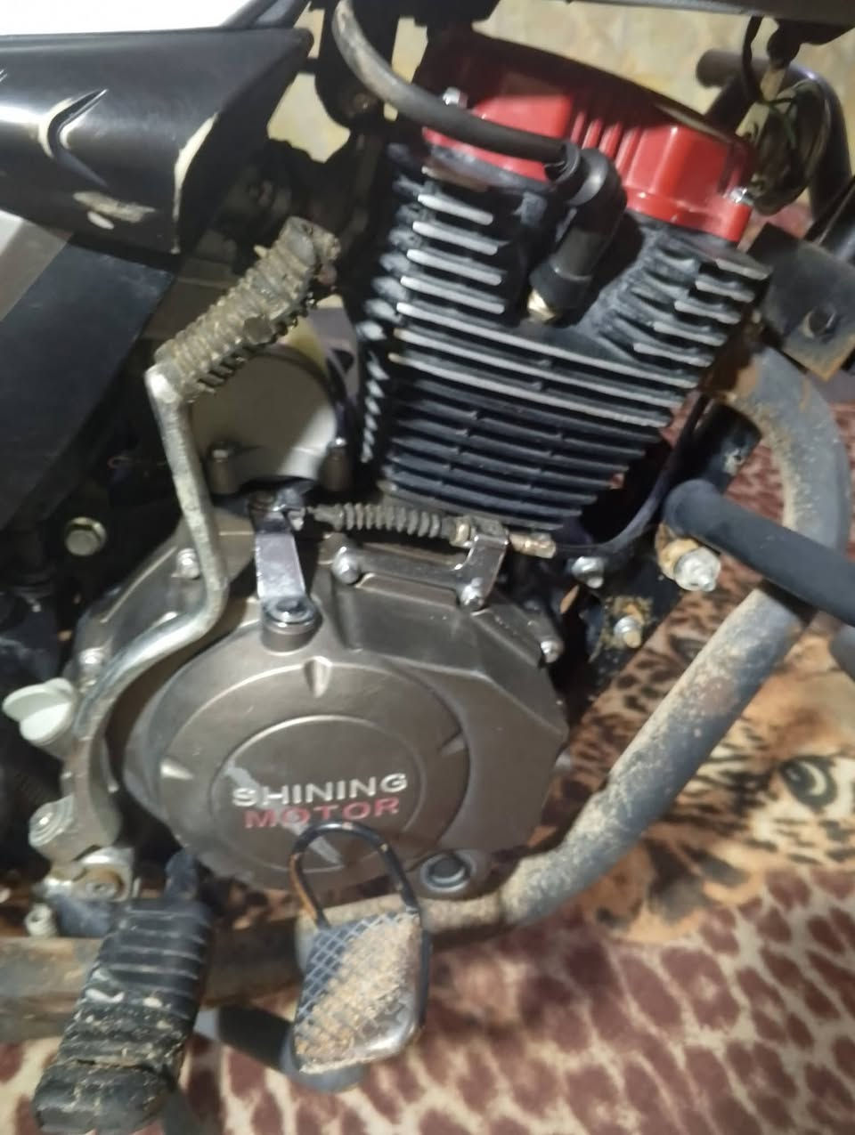 سلام عليكم لبيع رراجه شنانجان موديل24 طالعه بل25دراجه مال جناي برغي مناقصهه سعرهه750وبيهه مجال مكاني بابل المحاويل ما متواجر بل فيس هاذه رقمي***********
