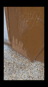 إذا تحتاج شغل خشب مرتب، عملي، وعلى ذوقك، أنا نجّار من منطقة الغزالية أ...