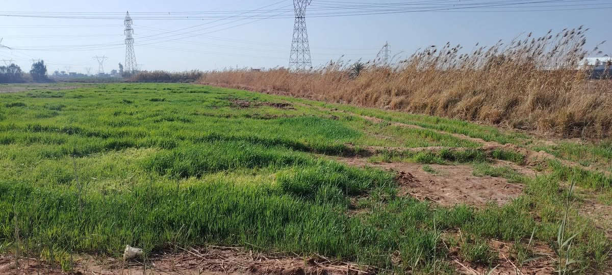 سلام عليكم كاع للبيع 8دونم مع بيتين ماء رساله ماء ونهر سكي شتاء صيفي  ماطورين كاز وقرطاس لكاع سند 35/ ***********
