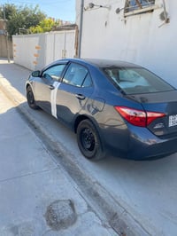 كورلا نفطي • ٢٠١٨ • طوز خورماتو