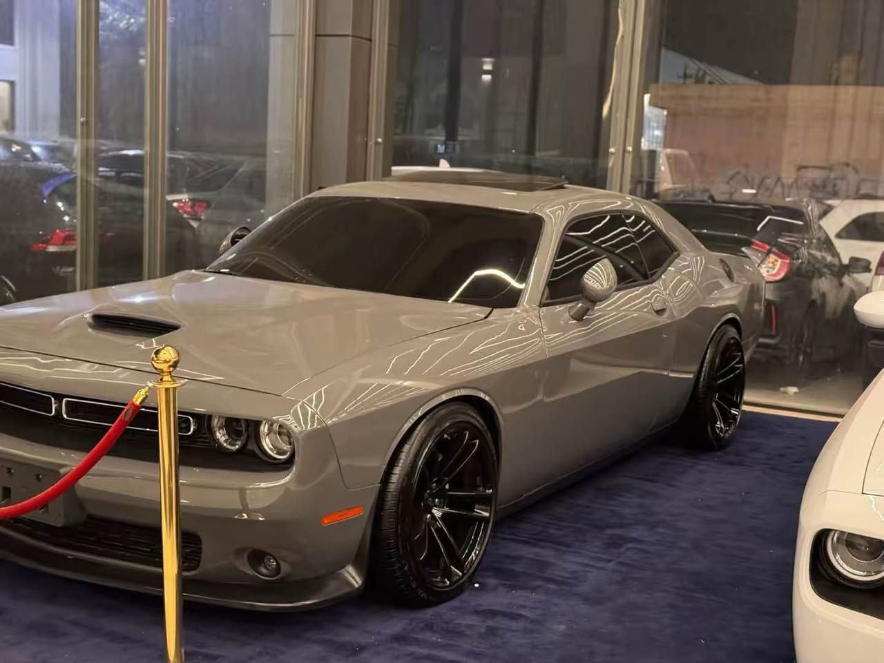 DODGE challenger 2023 RT max كوردي عربي
فوول مواسةفاتة 
سةيارةكي زور جوان بي مةسروف 
تةنها جاملخي و بوند سبوخة بي ژوري  
شانصي هيجي نية 
 ارباك سيستةمة 
رةنكي جيمةنتويي
يةك ديناري مةسرف تيدا نية كير و مةكينة و 
هةموو شتي بةشةرتة 
شوين هةولير 
سعر 215$  كةميك مةجال 
‏Ⓜ️0750 369 9092
DODGE challenger
RT max2023
السيارة حلوة بدون مصرف مابيها نقص 
كير محرك بشرت مامفتوح 
كهربائي بشرت كير و محرك  بشرت 
سيارةبيها 2 قطعة سبخ فقط جاملخ و بوند بدون شاصي 
والسيارة كلش حلوه احله من الصورة
صدر وحداديه كله جديد تاخم تاير و ويل جديد 
المواصفات
سلايد 
شاشه 
بصمة وشغال
٣ كير  سبورت
حساسات امامي وخلفي 
فوليوم وتحديد سرعة 
محرك  ٨ RT
لون سمنتي
كشن كهربائي 
كير ومحرك بشرط
المكان اربيل 
السعر (215$ ورقة   )
‏Ⓜ️0750 369 9092
رجاءً اذا مو مشتري لا تتصل وتعبني أربيل, العراق
