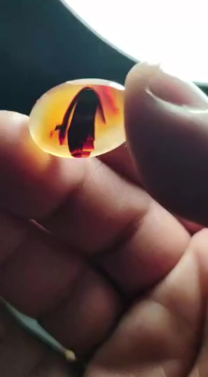 يماني السعر ٤٥الف


**إذا كنت صاحب هذا الإعلان وتريد حذفه لأي سبب، رجاءا أرسل رسالة إلى الدعم الفني**