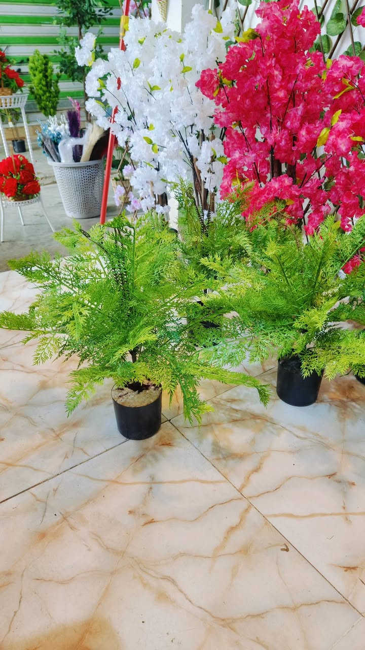 #واسط #نعمانيه 
.اشكال وموديلات مختلفه من الأشجار الصناعيه🌳 ترضي جميع الأذواق🌴مقاسات مختله...
عنوان المحل #واسط قضاء #النعمانيه 
 الشيشان الجديد الشارع الرابع
  محل الغيث للتسويق  محل الغيث للتسويق المنزلي


**إذا كنت صاحب هذا الإعلان وتريد حذفه لأي سبب، رجاءا أرسل رسالة إلى الدعم الفني**