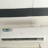 سبلت طنين للبيع سعر 650 مكلف بل نشر تصل 07704068435 معه جزيل الشكر