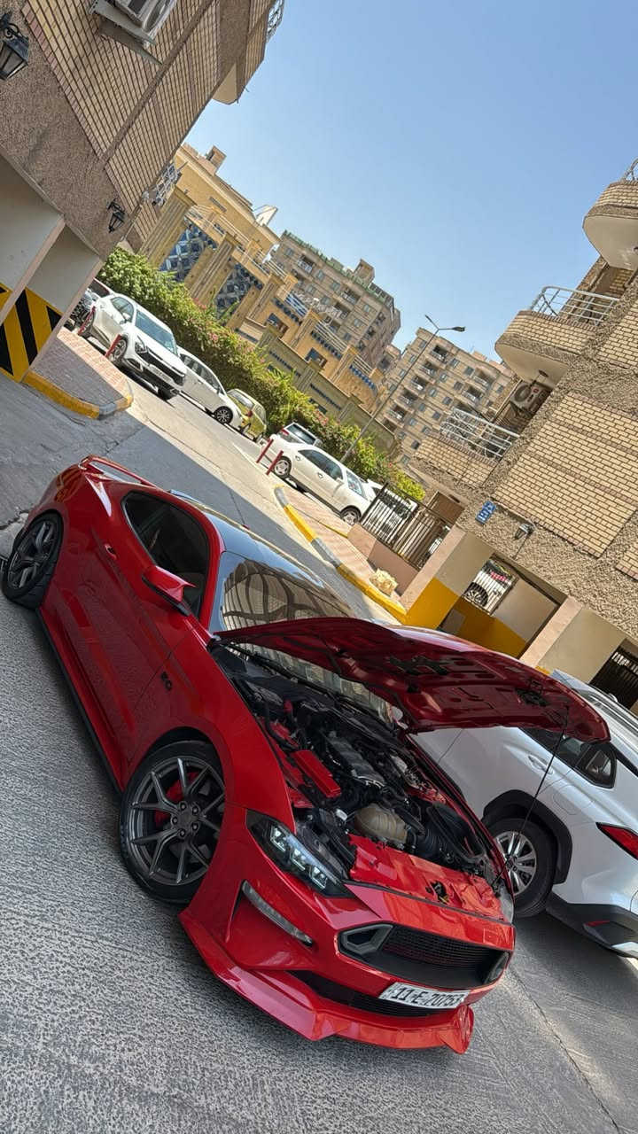 موستنك 2020 GT بريميوم تراك بكج فوولل 1/1
مكينه (8سلندر) 5000cc

كير اوتو (10)نمر

ماشيه(21 الف)ميل

مكان (بغداد-الحارثيه)

لون (احمر طماطه مميز)

رقم تلفون (***********)

السعر (230 ورقه)

رقم بغداد الجديد فحص هزة جديد وسنويه باسمي تحويل ثاني يوم يعني ما تحير بصوت اكزوز لو وشومات لن هزة جديده

سياره حادثها بنيد وجاملغ فقط (بنيد نصه مصبوغ فقط نصه)+ (جاملغ مبدل لون) قطعه وحده صبغ 
وصور حادث بل منشور

وساحب تقرير  كار فاكس مالتها  بفلوس ايضاً ما بيها اي حادث مسبق ب امريكا او غرق الي يحب راسلني واتس ادزهله تقرير

رقم الشاصي (1FA6P8CF2L5108895)

سياره كير مكينه اكسل كاردن صدرها بحالة الوكالة برغي ما مفتوح بيها بجم كبس البراكيته اماميه حتى ضربه مواصلتها

سياره من دخلت حد الان مسويلها ادامة وصيانه كامله بشركة  فورد القاصد دهن  وفلتر دهن و فلاتر شوته و تبريد كلة وكالة اصلي

دشبولها ماكو اي كلوب معتلك كله صافي

نجي على مواصفات فول 1/1

١- دجتال

١- تشغيل عن بعد

٢- شاشة كبيرة sync 3 كار بلي

٣-اكتف اكزوز حسب المود تفتح بوابات(نورمال-سبورت-تراك)

٤-فجوج بريمبو 6بستم

٥-عداد ديجتال يتغير ثيم حسب المود

٦-دمام صوت بل صندوك وكالة

٧-تحديد مسار

٨-رادار امامي

٩-رادار جانبي(نقطة عمياء)

١٠-رادار خلفي

١١-حساسات خلفيه

١٢-كامرة خلفيه

١٥-ستيرن تدفئه هيتر

١٦-خمس وضعيات قياده(نورمال-سبورت-تراك)

١٧-ترحيب بل مرايه

١٨-هيترات بل مرايه

٢٠-سستم سماعات

٢١-لايت زنون ابيض من وكالة

٢٢-شعار الموستنك ضوئي من الابواب بلادي

٢٣-شعار موستنك ضوئي متغير بل دوسات بلادي

٢٤-كيجات تراك بكج (اويل برشر) و( فاكيوم) بل دشبول

٢٥-كشنات جلد

26-سترس بار فوك مكينه من وكالة

٢٧- كشنات تدفئه وتبريد

٢٨- خزن ميموري

اضافات عليها

١- تخم تايرات تويو سيمي سلك (٥ورقات)

١- هدرز (ب١٢ورقه)

١- دبات كورسا اكس تريم اكتف بلادي (ب20ورقه)

٢- لايتات اماميه مال موديل ٢٤ وبيها متغير لد بل تلفون اي لون يعجبك (ب٩ ورقات)

٣- بك لايت سموك اصلي وبيها لد متغير اي لون يعجبك يتغير (8ورقات)

٤- الداخل كله مشتغله لدات ترحيب (ب250دولار)

٥-ويل pp1 اصلي مال كصة (10ورقات)

٦-لويات ايباخ الاحمره (ب300دولار)

٧-ولف حماوه مشميتو (١٢٠ دولار)

٨-اكس بايب+ اج بايب

٩-لحية ار تي ار (١٠٠ دولار)

١٠-دوسات جانبيه ام زعنفه (١٠٠دولار)

١١-سكوب جامه خلفيه (٨٠دولار)

١٢-شفتات ستيرن (٣٥الف)

١٣-وشم قماره وتضليل (ب١٠٠دولار)

١٤-صبغ فجوج ولحاية ويل (١٢٠دولار) صبغ حراري اصلي

١٥- تفريغ اكزوز ودوان بايب واكس بايب و لحيم اصلي يم علي وادي اركون من طول لل طول استيل حتى مقاومة للصداء وبوري اعرض (٥٠٠دولار) صوته مخيف

١٦-برمجة سيف تيتو  برمجة سيفتي قطرة دوانز ماكو تستقبل بانزين محسن (٣٠٠دولار)

١٧-شفقه خلفيه على جامه خلفيه( ١٠٠دولار)

١٨-كفرات مري باتمان

١٩-لد سموك بل دعاميه خلفية وجانبيه وبيها لد متغير لون يعجبك يتغير  (ب٥٠ دولار) 

٢٠- بولش ونانو سيراميك يم NVN (ب٢٥٠ دولار)

سياره ربع دينار ما بيها مصرف كامله من اي صرف
