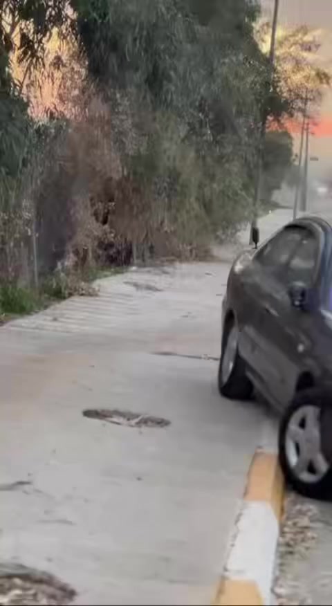 سلاو خوا تان ليبيت سه ني سامسؤنگ براوه فول ٢٠٠٦ جلد سلايت هيته ر ده عمو ليدراو به شه رت سه قف به شه رت ٢٥٠مه سره في نيه شوين هه له بجه ي شه هيد  بؤ نرخ جات بكه له خزمه تام🎁🎁


**إذا كنت صاحب هذا الإعلان وتريد حذفه لأي سبب، رجاءا أرسل رسالة إلى الدعم الفني**