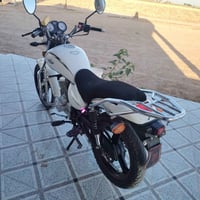 ساو ناصي • ٢٠٢٤ • ٢٠٠