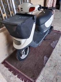 دراجة منغولي مكفولة كفالة عامة 07738037078