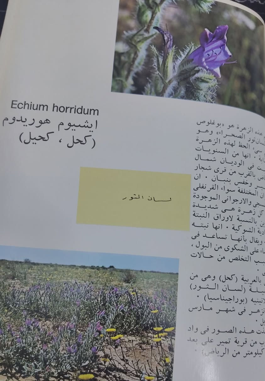 الازهار البرية للمنطقة الوسطى في المملكة العربية السعودية 
تأليف وتصوير بيتى أ ليبيكومب فينسيت 
طبع ميلانو إيطاليا عام ١٩٧٧
قطع اطلسي ١١٦ صفحة 
السعر ٢٥ آلاف


**إذا كنت صاحب هذا الإعلان وتريد حذفه لأي سبب، رجاءا أرسل رسالة إلى الدعم الفني**