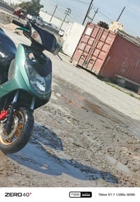 سكنس فحل • نوزل • نقص