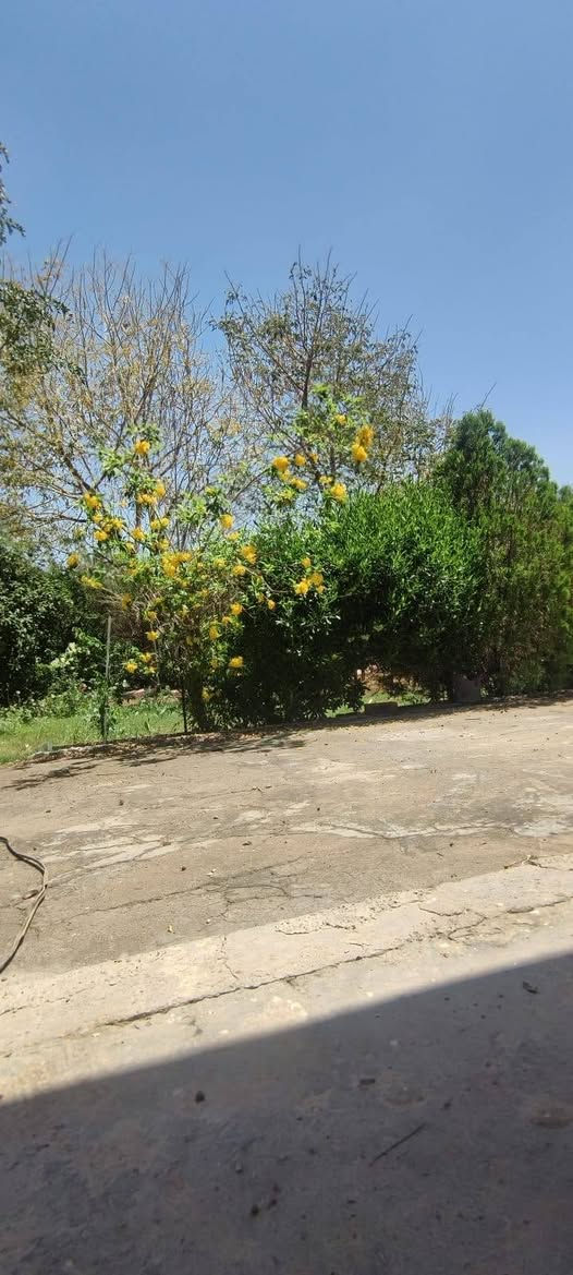 سلام عليكم دونم لبيع سند 25 تحويل بسم مشتري بي بيت بسيط مثل ماواضح بصور موقع كوريش قرب سيطر ٧٥مقبيل كليه ابن خلدون سعر خاص *********** بي واساب
