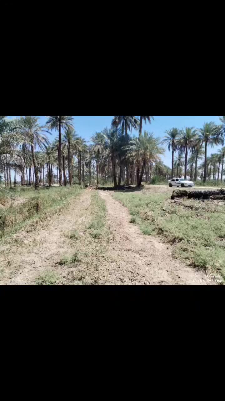 السلام عليكم ٢٠٠٠ متر طابو زراعي سند 25 كربلاء طوريج الخيرات منطقة كريط الكهرباء والتبليط والبيوت عنها ٣٠٠ متر واجهة ٥٠ متر تصلح سكن ومشروع السعر ٢٠ مع المجال للاستفسار الاتصال على الرقم *********** او ***********
