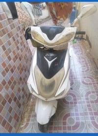 سكنس • شغالة • بيه مجال